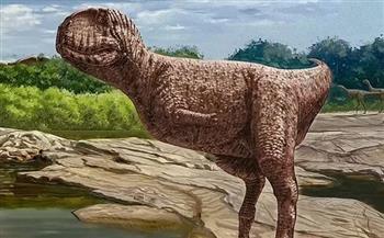 كواليس اكتشاف ديناصور ضخم عاش في مصر قبل 98 مليون سنة.. فيديو