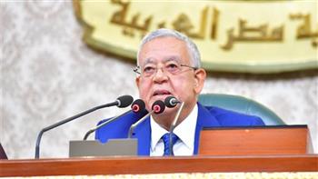 برلمانية «مصر الحديثة»: الرئيس يقود قطار التنمية منذ 8 سنوات دون توقف