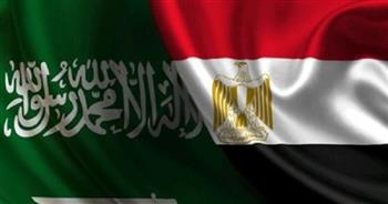 مصر والسعودية تبحثان سبل وتعزيز آليات التنسيق والتكامل بمجالات التعليم والتدريب