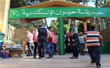 3 آلاف زائر لحديقة الحيوان وذبح 916 أضحية بمجازر الإسكندرية
