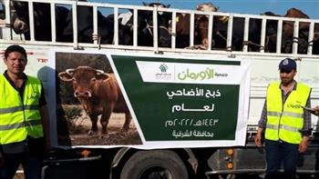 "تضامن الشرقية": توزيع 315 رأس ماشية على الأسر الأولى بالرعاية