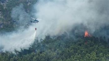 البرتغال تكافح حرائق الغابات وإصابة 29 شخصاً