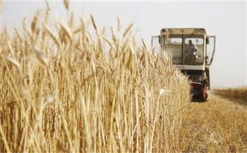 أوكرانيا تضرم النار في حقول القمح على حدودها مع منطقة خيرسون