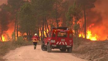 حرائق غابات هائلة تجتاح البرتغال