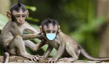 السعودية تعلن رصد أول إصابة بـ«جدري القرود» لشخص قادم من خارجها