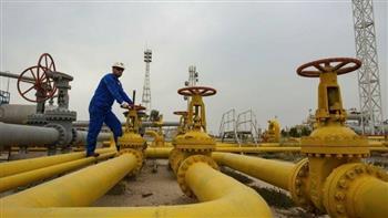 سعد الدين : اكتشافات الغاز الطبيعي حمت الصناعة المصرية من تقلبات الأسعار العالمية