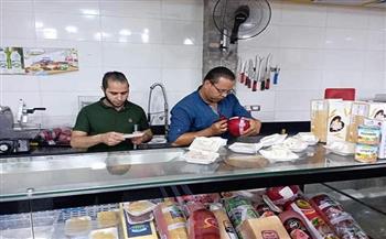 صحة المنيا: تحرير 298 محضرا لمنشآت بيع المنتجات الغذائية خلال 21 يوما