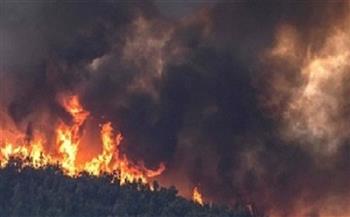 السيطرة على مجموعة من حرائق الغابات في شمال المغرب