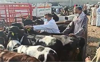 "بيطري الوادي الجديد": تحصين أكثر من 20 ألف رأس ماشية