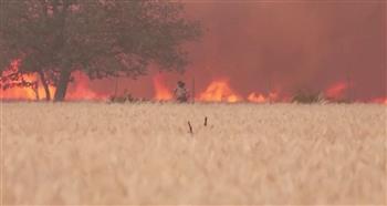 نجا بأعجوبة.. النيران تحاصر رجل حاول إنقاذ قريته في إسبانيا (فيديو) 