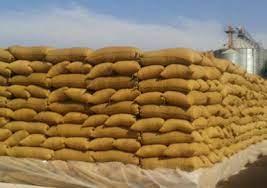 «زراعة الدقهلية»: توريد 331 ألفا و634 طنا من القمح للشون والصوامع حتى الآن