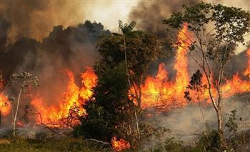 إجلاء أكثر من 100 شخص من منازلهم في إيطاليا جراء حرائق الغابات