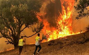 الجزائر تشارك في جهود إخماد حرائق الغابات في تونس
