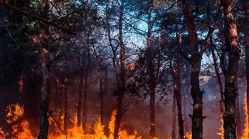 النمسا تقدم مساعدات عاجلة إلى سلوفينيا لمكافحة حرائق الغابات