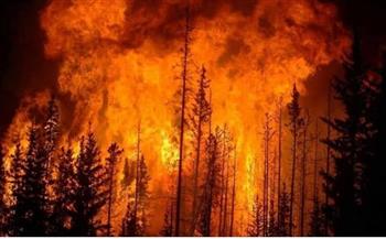 بعد اجتياح غرب أوروبا.. «الأرصاد» توضح أسباب انتشار حرائق الغابات