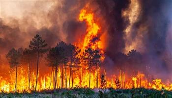 إسبانيا أكثر الدول الأوروبية تضررًا من حرائق الغابات منذ بداية 2022