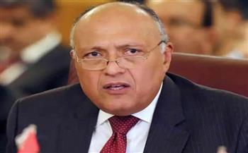 وزير الخارجية: جولات الرئيس السيسي تهدف لتعدد مراكز مصر الدولية 