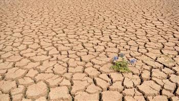اتحاد المزارعين الإيطاليين: انخفاض إنتاج المحاصيل الزراعية 45% بسبب الجفاف الشديد