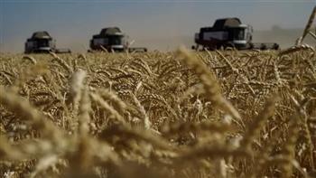 صحيفة إماراتية: اتفاق تصدير الحبوب الأوكرانية بارقة أمل