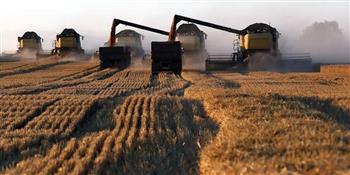 كاتب أمريكي: هل يسهم اتفاق تصدير الحبوب الأوكرانية في تخفيض أسعار الغذاء في العالم؟