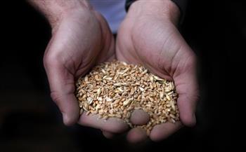 لبنان يقرّ قرضاً من البنك الدولي لاستيراد القمح