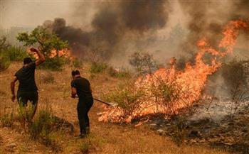 المفوضية الأوروبية تُعزز مشاركتها في جهود مكافحة حرائق الغابات في التشيك