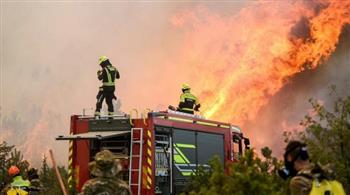 .إدارة الغابات بتونس: إخماد 15 حريقًا بالغابات في أسبوع