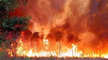 إخماد 15 حريقًا بالغاباتفي تونس خلال أسبوع