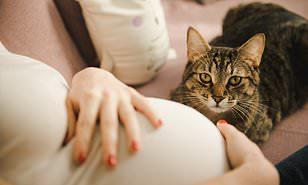 دراسة توضح الفرق بين امتلاك كلب وقطة على الصحة العقلية للمرأة الحامل 