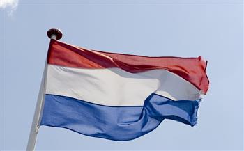 صحيفة هولندية: قلق بين السكان وسط تزايد الطلب على الحطب