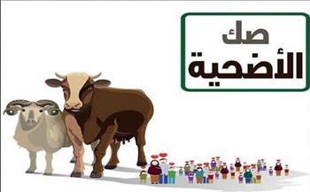 أخبار عاجلة في مصر اليوم الاثنين.. 5.4 مليون أسرة استفادت من مشروع صكوك الأضاحي منذ إطلاقه
