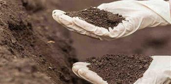 دراسة: ملوثات التربة يمكن أن تضر القلب