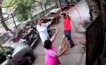 تصرف بشكل جنوني.. عضة كلب تحوّل رجل هندي إلى وحش هائج (فيديو)