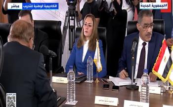 ضياء رشوان: لن يحرم أحد من الإدلاء برأيه بجلسات الحوار الوطني