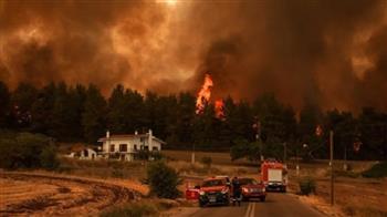 حريق غابات في اليونان يجبر السلطات على إخلاء قرية صغيرة غرب آثينا