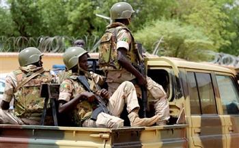 النيجر تعلن مقتل 6 من جنودها في هجوم إرهابي بالقرب من تشاد