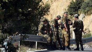 الجيش الجزائري: تحييد 23 إرهابيا وضبط 206 عناصر دعم للجماعات الإرهابية