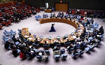 مجلس الأمن يصوت على تمديد إدخال المساعدات لسوريا دون موافقة دمشق
