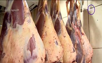 منفذ تمويني: أسعار اللحوم تنافسية وتقل عن مثيلاتها في الأسواق بنحو 70 جنيها