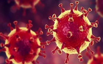 الإمارات تسجل 1088 إصابة جديدة بفيروس كورونا