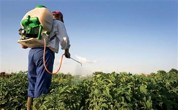 «مكافحة الآفات»: متابعة مستمرة لحالة المحاصيل الاستراتيجية بالمحافظات