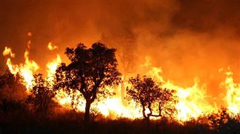 فرنسا: الحرائق تفتك بالغابات وتجبر الآلاف على الهرب