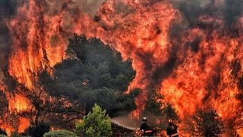 حريق غابات كبير في جزيرة ثاسوس اليونانية