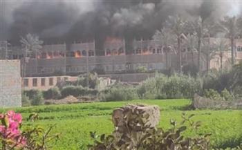 حريق في مجموعة من الأشجار والنخيل بجوار قلعة صلاح الدين