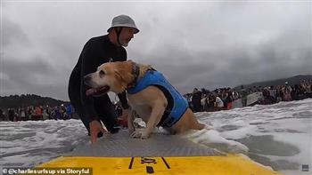 كلب يبهر الجميع  بمهاراته فى بطولة كاليفورنيا لركوب الأمواج ..فيديو  