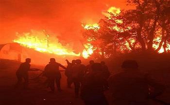 الجزائر تسيطر على عشرات الحرائق في 11 ولاية