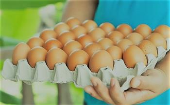 «شعبة الدواجن»: سعر كرتونة البيض في المزرعة 40 جنيهًا وتصل للمستهلك بـ 58 جنيهًا