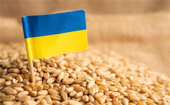 مسؤول أممي: عودة الحبوب الأوكرانية إلى الأسواق العالمية تدعم مواجهة أزمة الغذاء