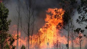 حرائق غابات في البرتغال تغلف ناطحات سحاب في مدريد بالدخان على بعد 400 كيلومتر