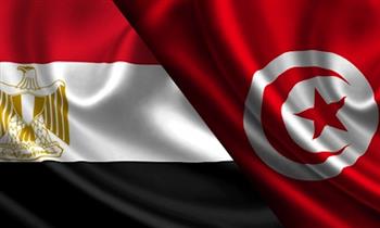 مصر تهنئ تونس بقبول مشروع الدستور الجديد